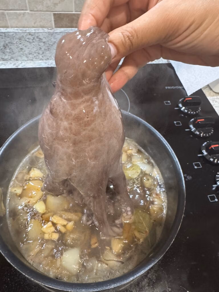 Raw Octopus being placed in a steaming pan of braising fluid before being grilled