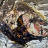 Oven Baked Jerked Red Snapper unwrapped from the foil