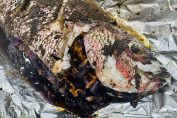 Oven Baked Jerked Red Snapper unwrapped from the foil